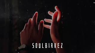 SOULBIRKEZ | Артем Брежнев | Qorgasyn playlist