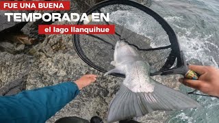 LAGO LLANQUIHUE Y SUS LINDAS TRUCHAS ARCOIRIS 🇨🇱 #PESCA #fishing