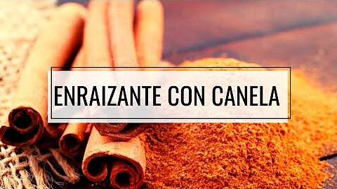 ¿Se puede utilizar miel o canela como hormona de enraizamiento?