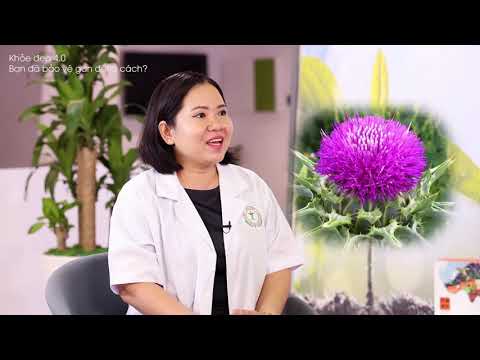 Video: Trồng Cây Kế Sữa