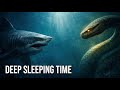 Megalodon vs Titanoboa | Deep Sea Battle for Sleep