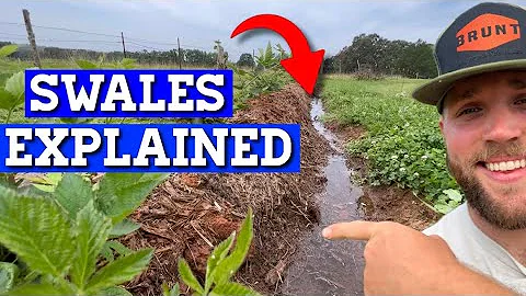 Understand Swales In LESS THAN 3 MINUTES