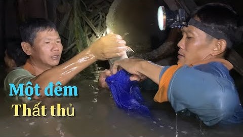 Cháo lòng trên sông quê sau một đêm bắt cá ngát thất thủ | Cù Lao Dung Vlogs #490