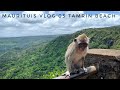 Mauritius vlog 03 tamarin beach with baby monkey