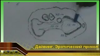 Коралловые рифы как мужской интим орган. Видео про Юмор Прикол в Мире дайвинга на Мальдивах(Дайвинг на Мальдивах. Дайвер инструктор на Мальдивских островах дает инструктаж на предстоящее погружение..., 2009-12-19T14:26:29.000Z)