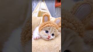 Too cute to scroll past! 🥹💕