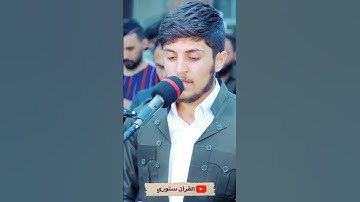القارئ جيگر سردار الكردي | تلاوة جميلة ☘️✨ #حالات_واتس_اب #ستوريات_انستغرام