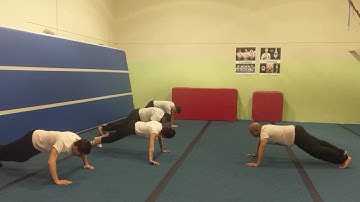 Kung fu Exercises Video 2 Praying Mantis Sifu Bryan Barnes