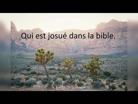 Vidéo: Pourquoi Josué dans la Bible était-il connu ?
