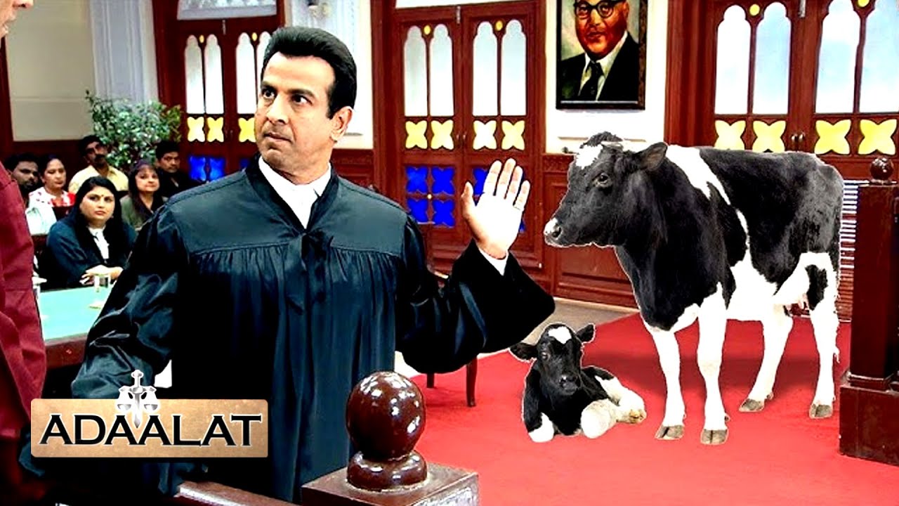 মা গরুকে বাঁচাতে আদালতে ঝাঁপিয়ে পড়েন কেডি পাঠক।  || Adaalat আদালত || Full Episode 2025