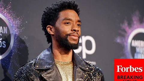 Democratic lawmaker: Chadwick Boseman movies remin...