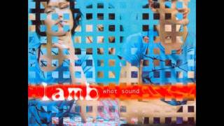 Lamb - What Sound - Blessing In Disguise (Hidden Track)