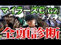 【マイラーズカップ2024全頭診断】ナメられている穴馬。レベルが違う最強馬。等、全頭徹底解説！