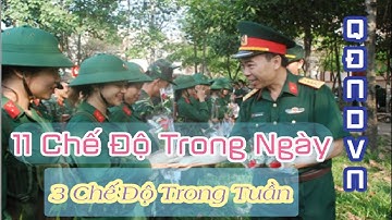 11 Chế Độ Trong Ngày 3 Chế Độ Trong Tuần Của QĐNDVN  ✅✅✅eleven modes of the day of the Vietnam army