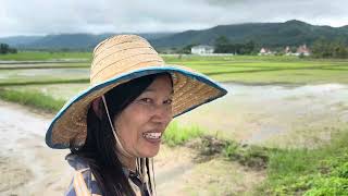 Thailand village living