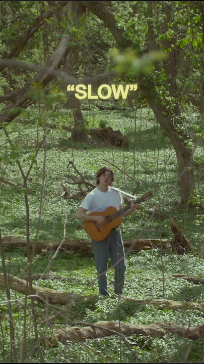 “Pellegrino” - Spring Term ~ a song to cure the winter blues #indiepop #alternativeindie #newmusic