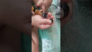 Perforación de semilla ojo de venado