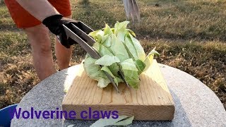 WOLVERINE CLAWS VS OBJECTS