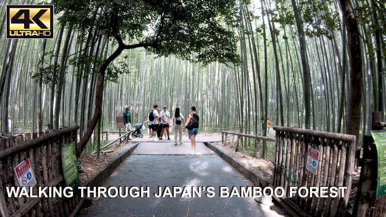 Kyoto Arashiyama Bamboo Forest Walk | Day Trip to Kyoto Japan