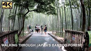 Kyoto Arashiyama Bamboo Forest Walk | Day Trip to Kyoto Japan