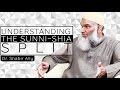 Understanding the Sunni-Shia Split |  Dr. Shabir Ally