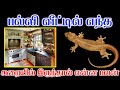         palli vilum palan  indian astrology prediction