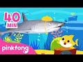 Já viu Verdadeiro Bebê Tubarão🦈 | 🎉Feliz Mês de Tubarão🎉|+Compilação |Pinkfong Canções para crianças