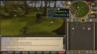 Runescape Loot from Snow Implings & Where to find them 2012 Xmas event