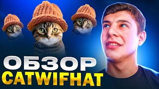 Следующий Dogwifhat $WIF? Кошачья шапка $CWIF