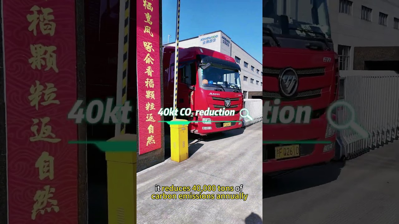 Overseas Biomass Pellet Line: 12-15 t/h Forestry Waste Processing