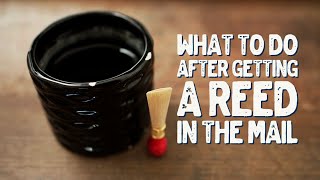 First Steps with A New Bassoon Reed | Bassoon Reed Making