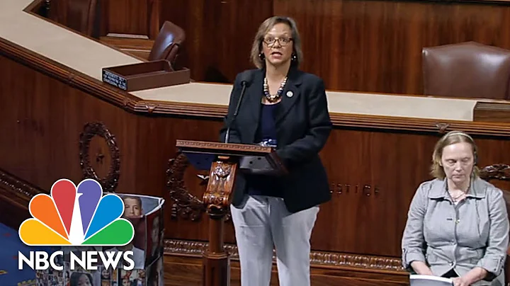 Representative Robin Kelly: I've Pleaded, I've Scr...