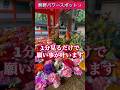 ⚠️神回※ もし逃したら2度とないです【熊野速玉大社】太鼓が聞こえたら超幸運!龍神様が現れた