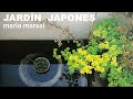 #JardinJAPONÉS ¿Cómo Entenderlo?