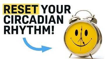 Can You Reset Your Circadian Rhythm?