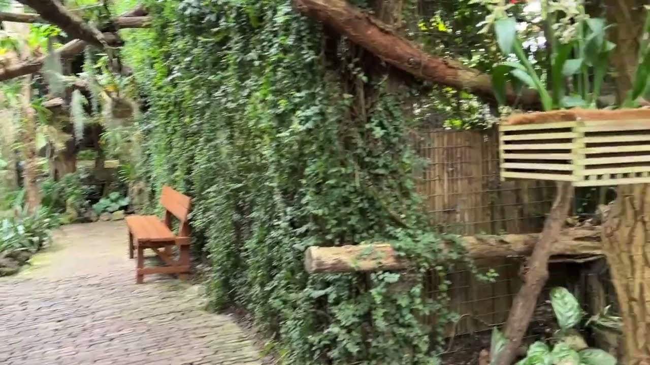 Pantropica, NL: Ep.6 Routes