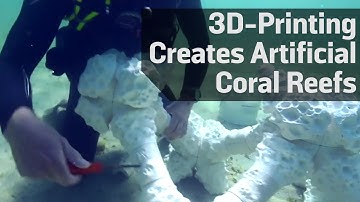 3D-Printing Creates Artificial Coral Reefs