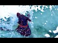 ワンコが氷の池に飛び込んで大変なことになりました。。