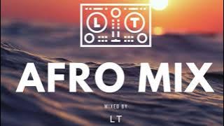 Afro House Mix 2025 | LT | Thakzin - Meera - Caiiro - DJ Fresh - Kabza de Small