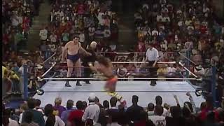 Ultimate warrior vs andre the giant screenshot 5