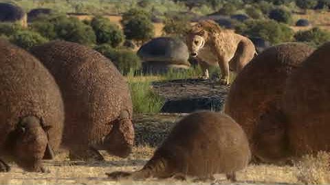 Smilodon Investigates Doedicurus | Life On Our Planet Chapter 7