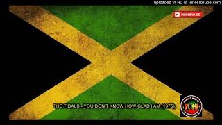 The Tidals  You Dont Know How Glad I Am 1975