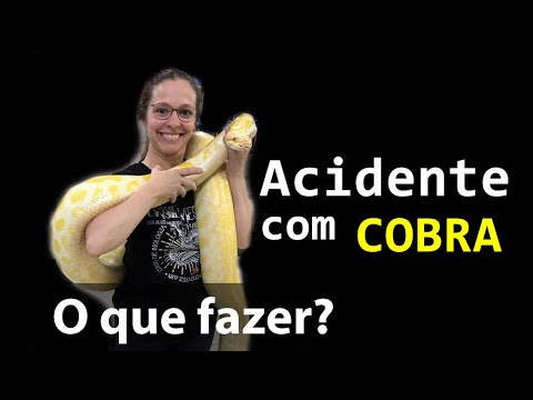 Vídeo: Como Posso Saber Se Minha Cobra Está Doente?