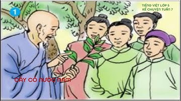 TIẾNG VIỆT LỚP 5 TUẦN 7   KỂ CHUYỆN CÂY CỎ NƯỚC NAM