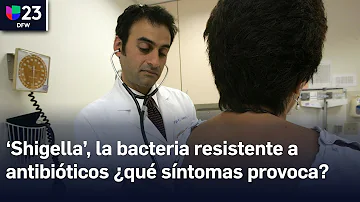 ¿Por qué la Shigella es resistente a los antibióticos?