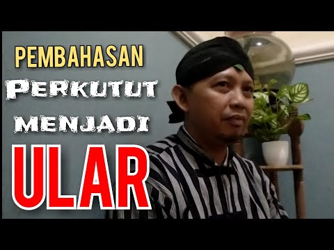 Bentuk dan waktu burung perkutut berubah jadi ular @perkututklangenanchannel7514