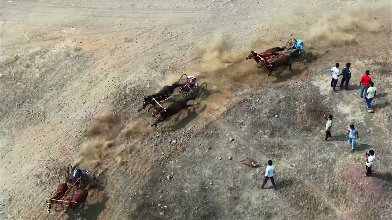 सैनिक टाकळी यात्रा दुसा जनरल घोडा गाडी शर्यत 