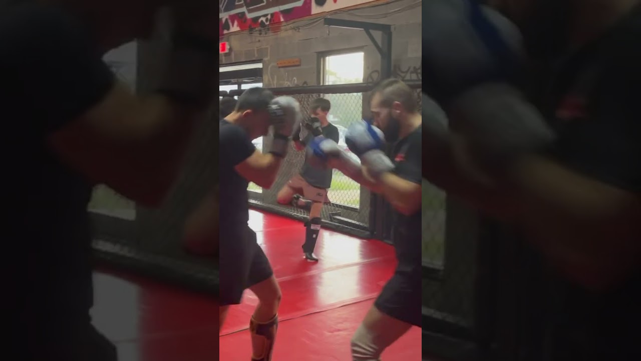 WAKO K1 Kickboxing Training 