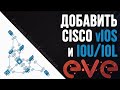 Добавить Cisco vIOS и Cisco IOU/IOL в EVE-NG