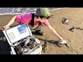 【異常現象】ワタリガニが大量にとれてしまう・・・海に異変か!?